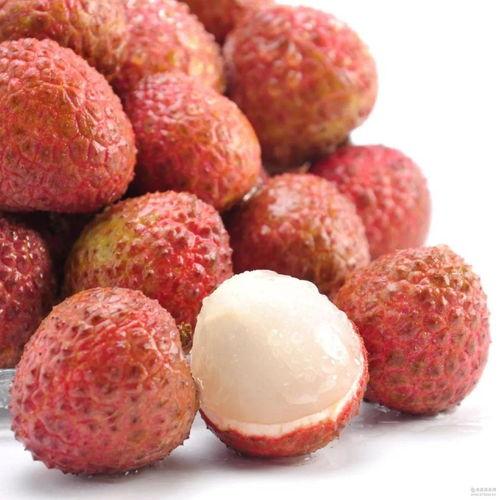 吃瓜少女爱荔枝视频网,揭秘网络红人的魅力之旅