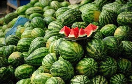 网红吃瓜颜色代表什么意思,色彩背后的秘密与象征意义