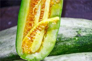 网红吃的那个瓜是什么