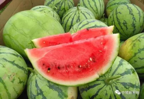 今日一起吃瓜网,揭秘娱乐圈最新热点事件