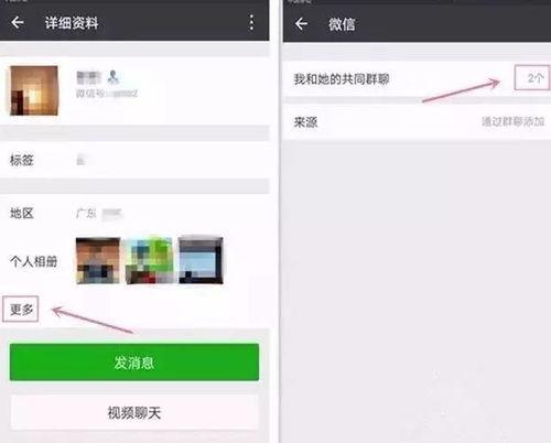 微信群免费吃网红瓜是干嘛的