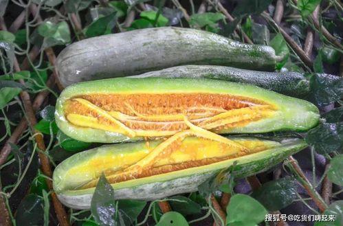 肖战女网红吃瓜,揭秘娱乐圈幕后真相