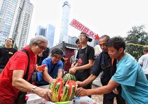 热心朝阳群众吃瓜网8,揭秘娱乐圈幕后故事