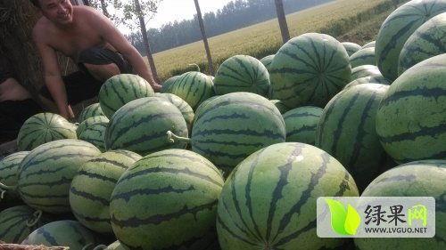 靖边网红吃瓜是谁啊最新消息,最新进展揭秘！”