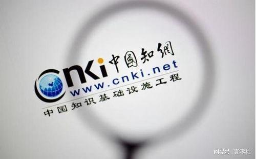 中国知网有什么瓜吃,那些不为人知的“瓜”与争议