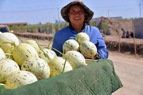 藏族网红吃瓜最新事件,揭秘幕后真相与网友热议