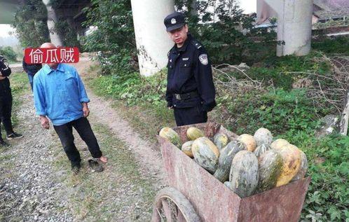 藏族网红吃瓜最新事件,揭秘幕后真相与网友热议