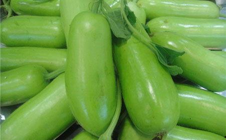 吃蒲瓜网红,蒲瓜新吃法，解锁夏日清新口感