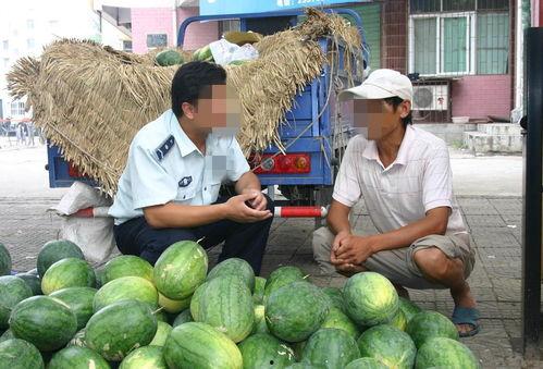 吃瓜网ccgg 销售,瓜友争相抢购