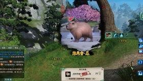 剑网3yy吃瓜,揭秘江湖背后的风云变幻