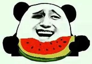 吃瓜和网暴,网络时代的双重现象解析