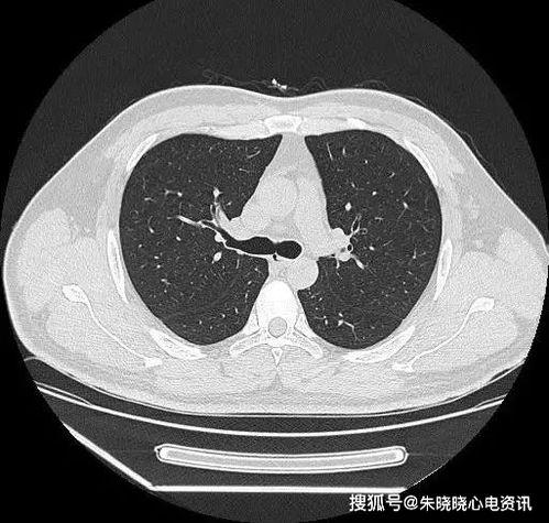 吃瓜网ccgg.ct,带你走进网络舆论的神秘世界