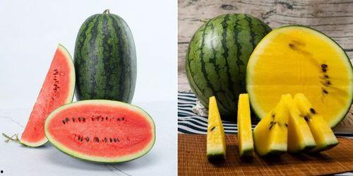 5.1吃瓜网,揭秘娱乐圈热点事件，带你畅游八卦海洋