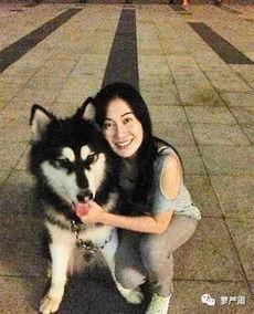 网红狗子张悦吃瓜,吃瓜界的“小达人”