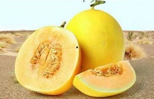 166.su 吃瓜网,揭秘娱乐圈最新热点，带你畅游八卦海洋