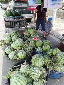 武都网红 吃瓜事件真相,真相背后的网络舆论风暴