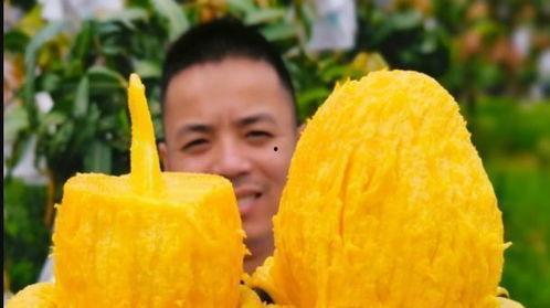 十七c吃瓜网,网络舆论场的新势力崛起