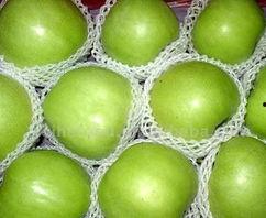 吃瓜的塑料网怎么弄,网络热点的幕后操作解析