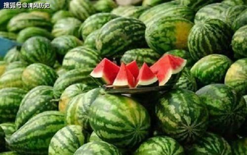 网上的吃瓜网,揭秘吃瓜群众的狂欢与反思