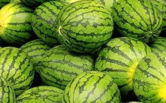 网上的吃瓜网,揭秘吃瓜群众的狂欢与反思