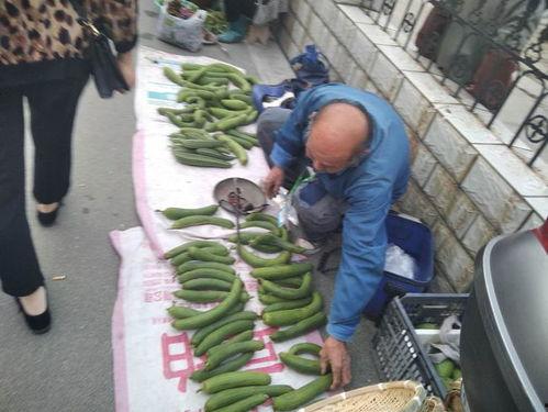 网红摆摊吃瓜视频,揭秘街头美食背后的故事