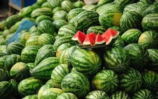 网红大爷吃瓜事件详情,揭秘网络红人背后的争议与真相