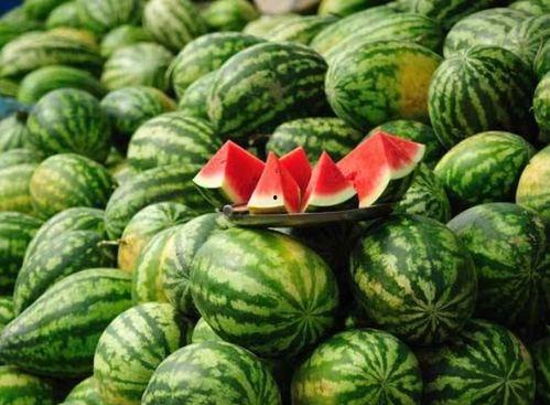 吃瓜事件网红2024,网络风云再起