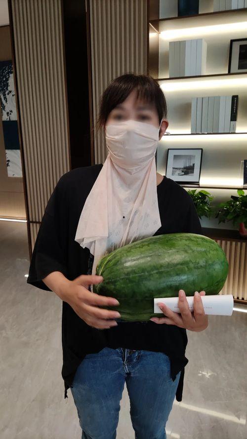 吃瓜视频网红大瓜群