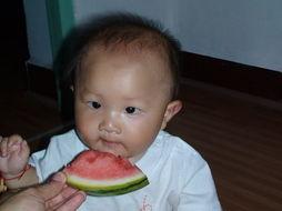 网红乐乐吃瓜,揭秘娱乐圈幕后真相