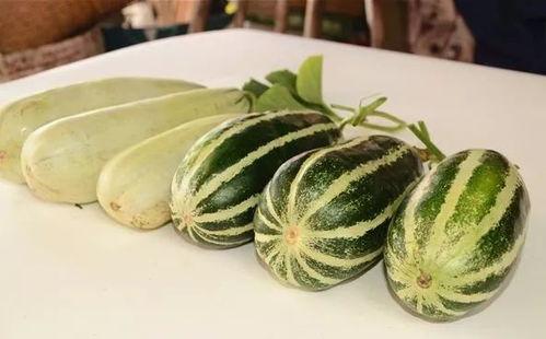 山东潍坊网红吃瓜,一场舌尖上的美食盛宴