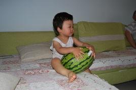 瓜太郎吃瓜官网,揭秘网红瓜子的魅力之旅