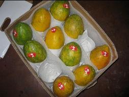 吃瓜的台湾网红,揭秘娱乐圈幕后真相