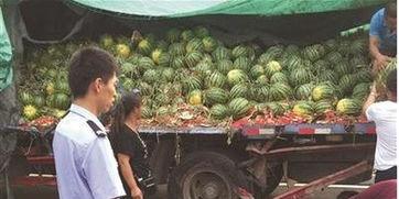 福山网红吃瓜事件真相揭秘,揭秘背后真相与争议