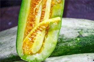 网红吃瓜公众号推荐,揭秘娱乐圈最新热点事件，带你一探究竟！