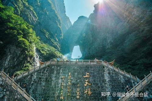 张家界网红吃瓜视频曝光,揭秘网红圈幕后真相